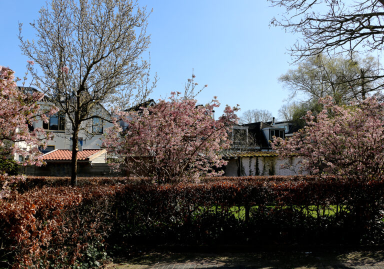 Zwolse Zakenlied